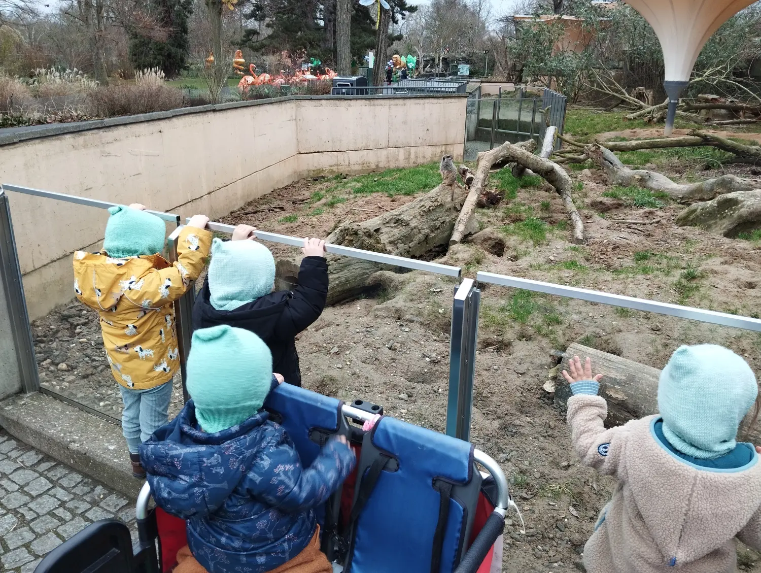 Kinder spielen von Kindertagespflege Ilka Scheu