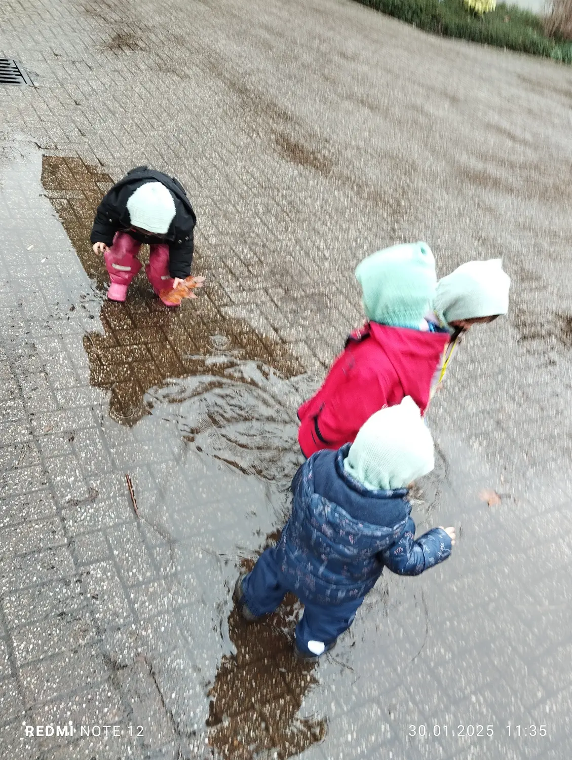 Kinder spielen von Kindertagespflege Ilka Scheu