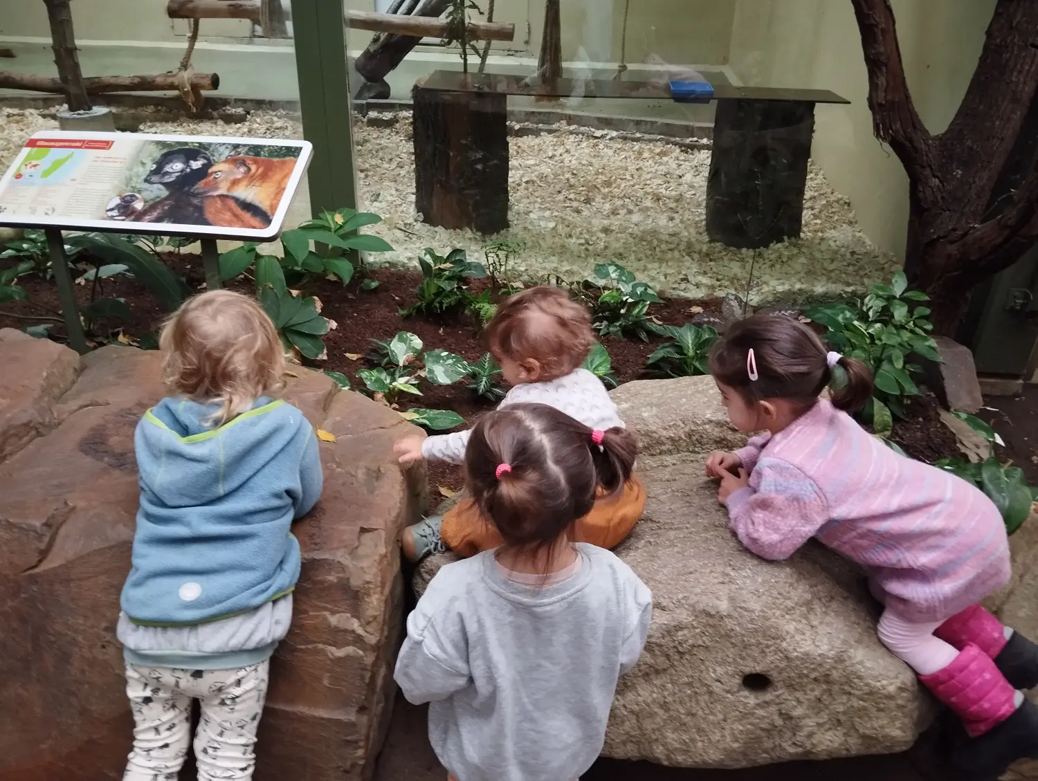 Kinder spielen von Kindertagespflege Ilka Scheu